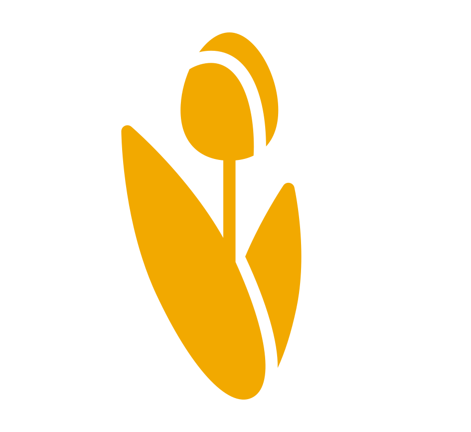 ThinkingDutch Icon